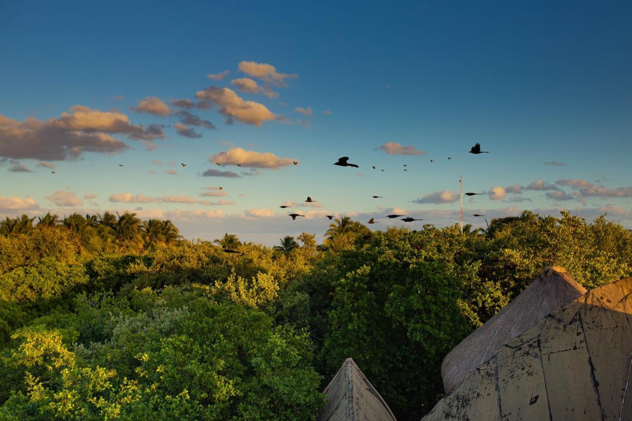 Mamasan Treehouses & Cabins Tulum Exterior foto